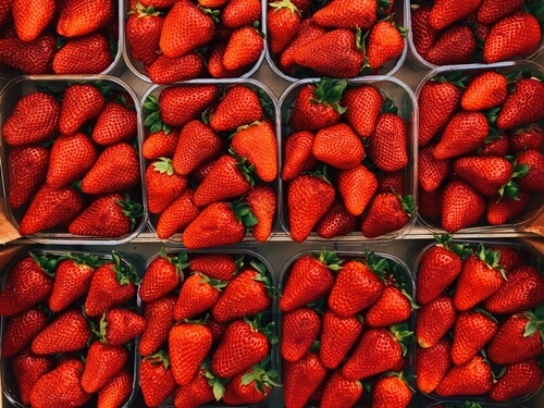 תותי משק טל - תותלאנד